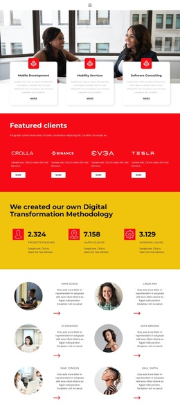One Of The Successful Projects - Landing Page