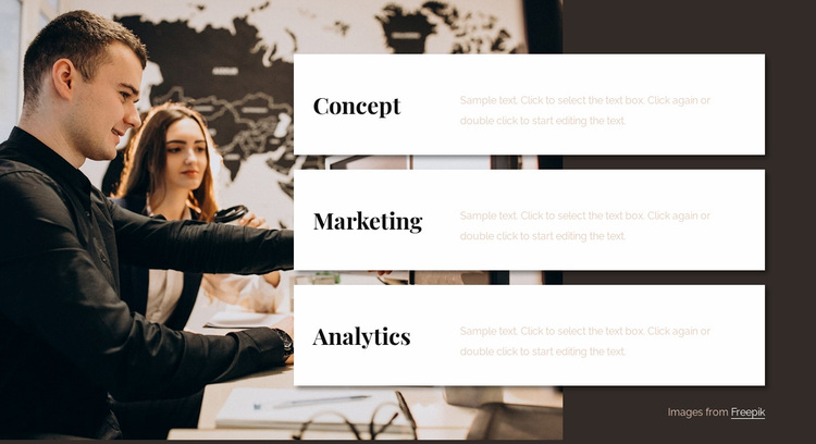 Analytics consulting team Website Design
