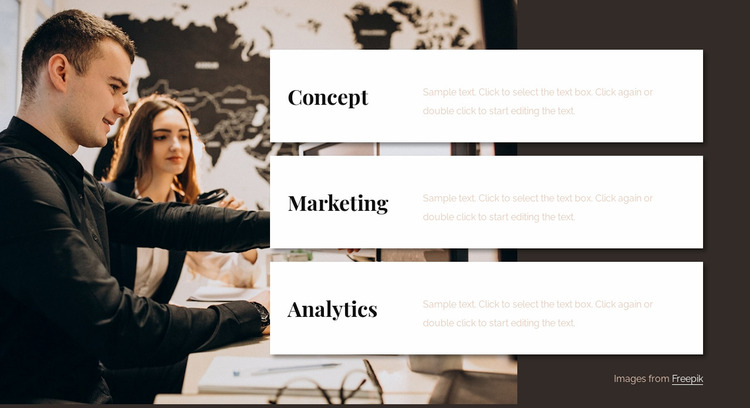 Analytics consulting team Website Mockup