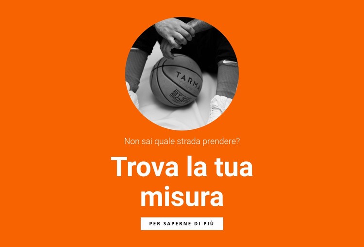 Squadra di basket Modello HTML5