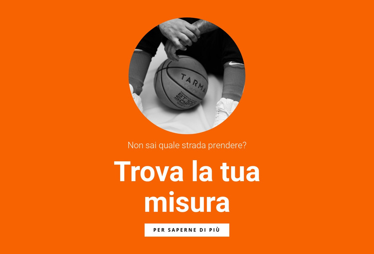 Squadra di basket Modello di sito Web