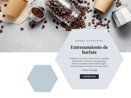 Página HTML Para Entrenamiento De Barista