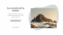 Les Secrets De La Nature - Modèle Joomla Réactif