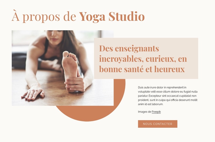Des professeurs de yoga incroyables Maquette de site Web