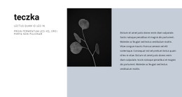 Darmowy HTML5 Dla Wznowienie Kreatywnego Projektanta