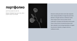 Резюме Креативного Дизайнера – Адаптивный Дизайн