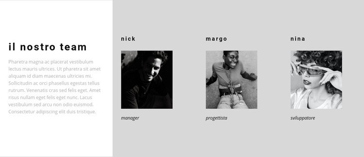 Un team di veri professionisti Modello HTML5