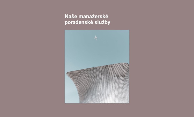 Módní architektura Šablona