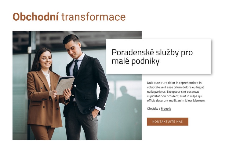 Poradenské služby pro malé firmy Téma WordPress