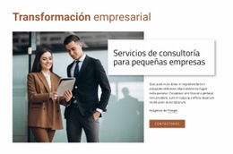 Servicios De Consultoría Para Pequeñas Empresas - Plantilla Prémium