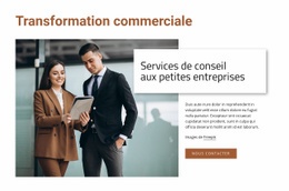 Services De Conseil Aux Petites Entreprises – Modèle Premium