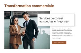 Services De Conseil Aux Petites Entreprises - Page De Destination