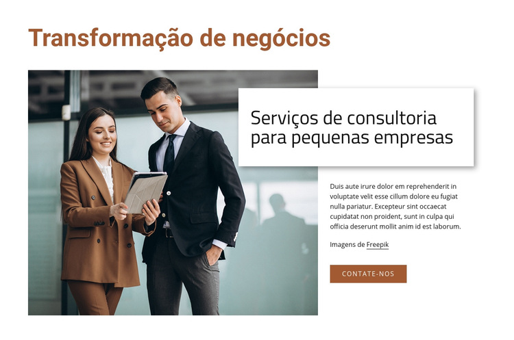 Serviços de consultoria para pequenas empresas Modelo de site