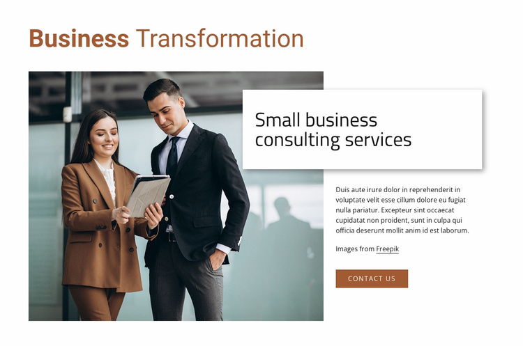 Small business consulting services Landing Page