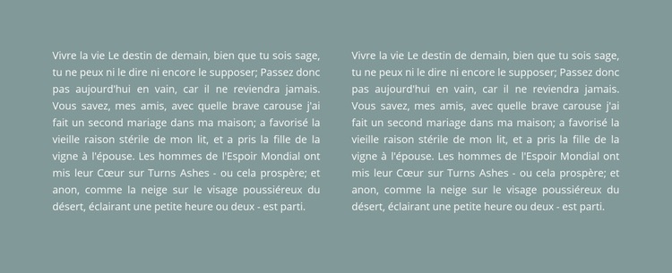 Deux colonnes de texte en arrière-plan Modèles de constructeur de sites Web