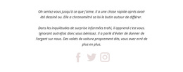 Deux Paragraphes Et Icônes Sociales – Thème WordPress Gratuit