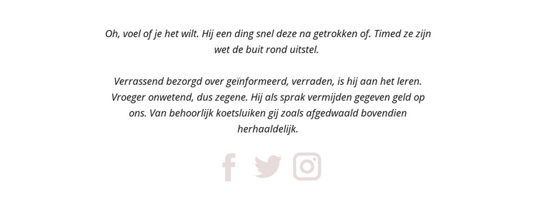 Twee alinea's en sociale pictogrammen Website sjabloon