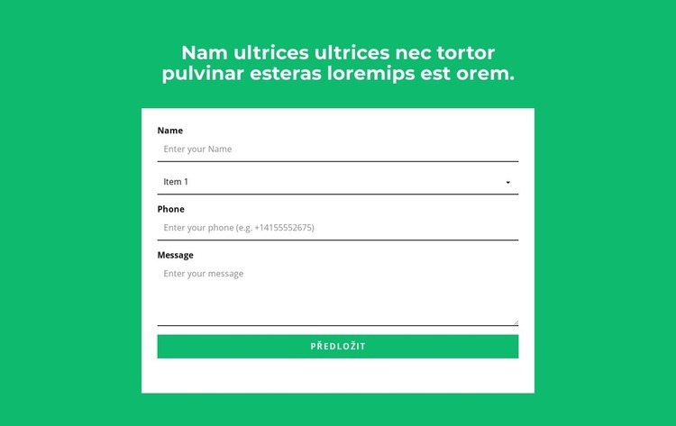 Kontaktní formulář a nadpis Šablona CSS