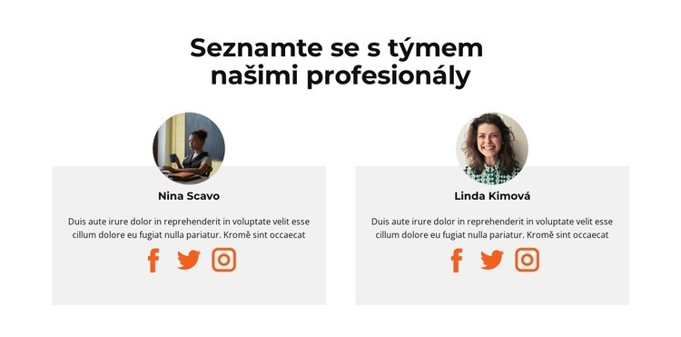 Seznamte se s naším dámským personálem Šablona CSS