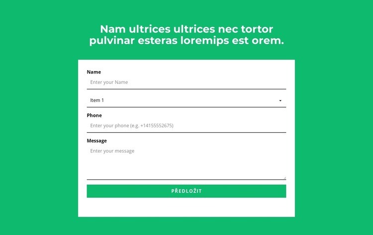 Kontaktní formulář a nadpis Šablona webové stránky