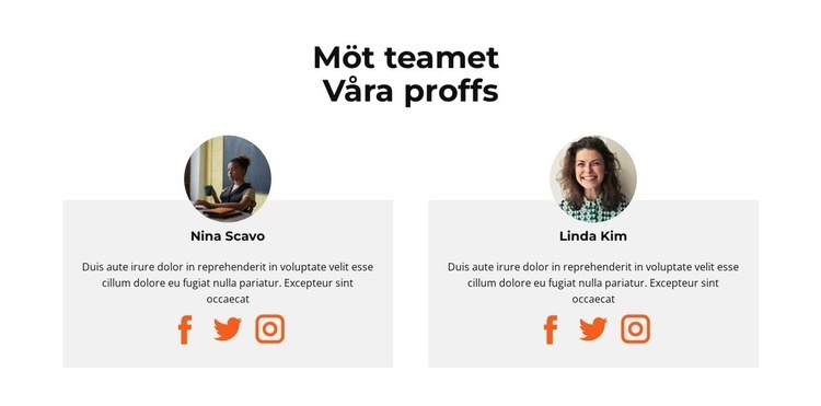 Möt vår kvinnliga personal CSS -mall