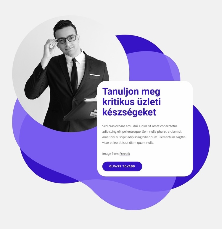 Kritikus üzleti készségek Weboldal sablon