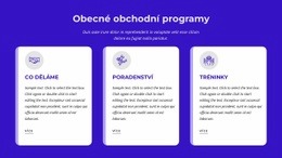 Obecné Obchodní Programy Šablona Obchodu