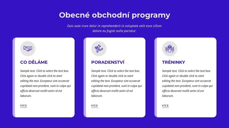 Obecné obchodní programy Šablona