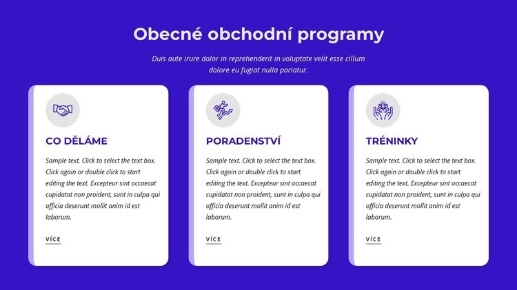 Obecné obchodní programy Šablona webové stránky