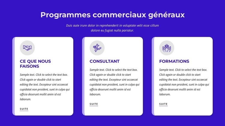 Programmes commerciaux généraux Conception de site Web