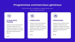 Programmes Commerciaux Généraux - Thème WordPress Moderne