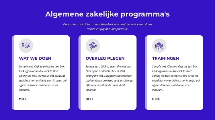 Algemene zakelijke programma's Website mockup