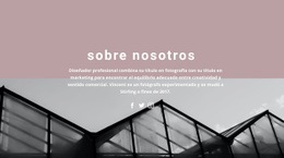 Sobre El Desarrollo De La Empresa - Creador De Sitios Web Profesional Personalizable