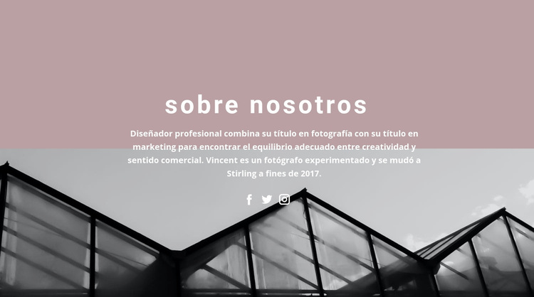 Sobre el desarrollo de la empresa Tema de WordPress