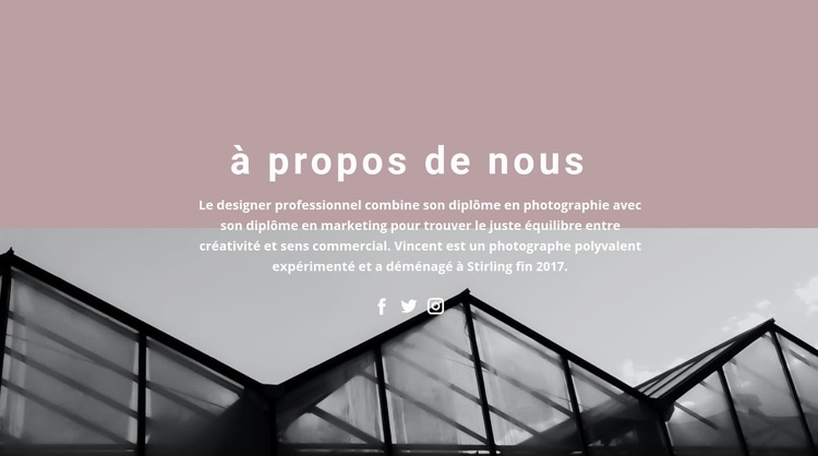 À propos du développement de l'entreprise Maquette de site Web