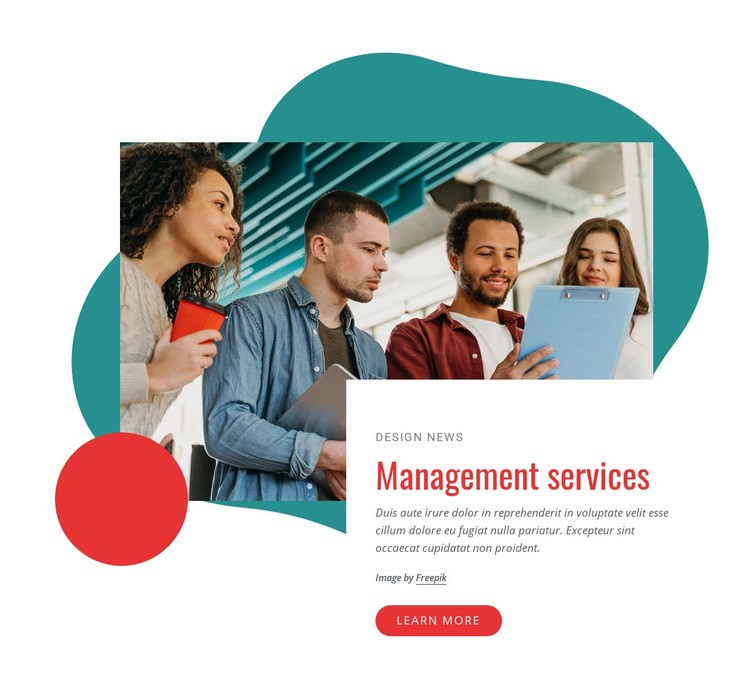 Management consulting company Homepage Design