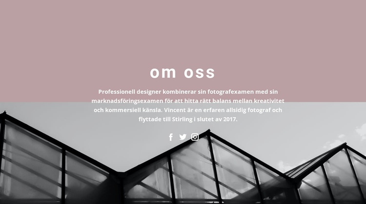 Om företagsutveckling WordPress -tema