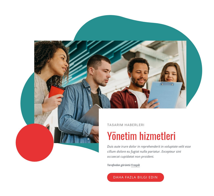 Yönetim danışmanlığı şirketi Web Sitesi Şablonu