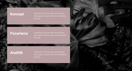 Ne Üzerinde Çalışıyoruz - Ücretsiz Şablon