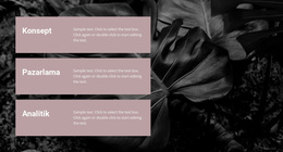 Ne Üzerinde Çalışıyoruz - WordPress Teması