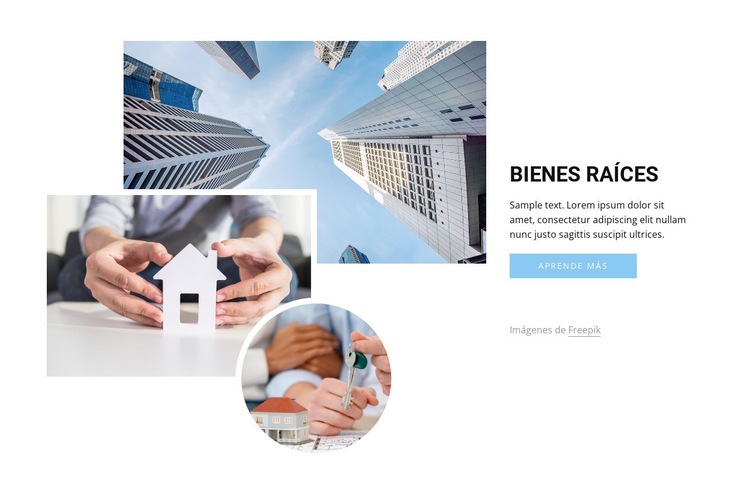 Agentes inmobiliarios líderes Maqueta de sitio web