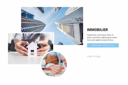 Agents Immobiliers De Premier Plan Constructeur Joomla