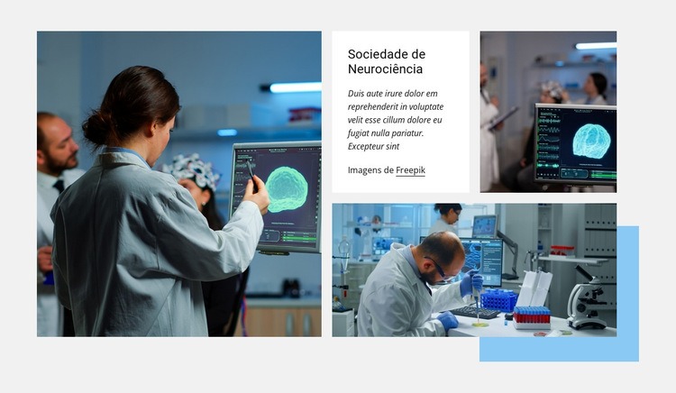 Sociedade para neurociências Design do site