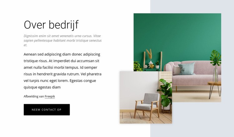 Online interieurontwerp Sjabloon voor één pagina