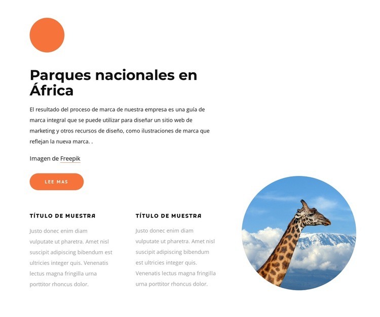 Parques nacionales en África Diseño de páginas web