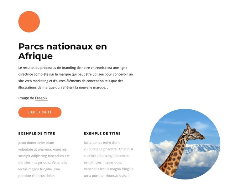 Parcs nationaux en Afrique Conception de site Web