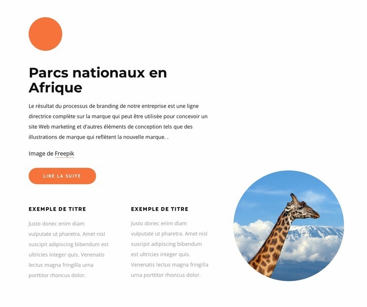 Parcs nationaux en Afrique Modèles de constructeur de sites Web