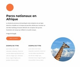 Parcs Nationaux En Afrique - Maquette Réactive