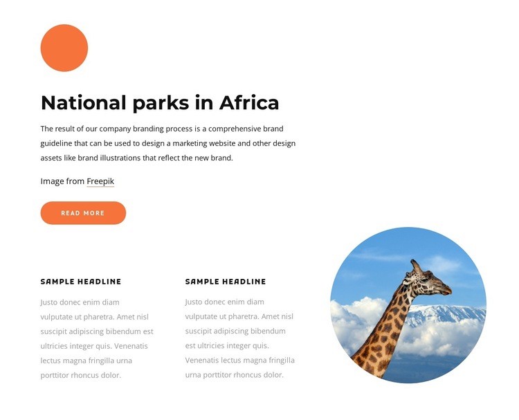 National parks in Africa Homepage Design