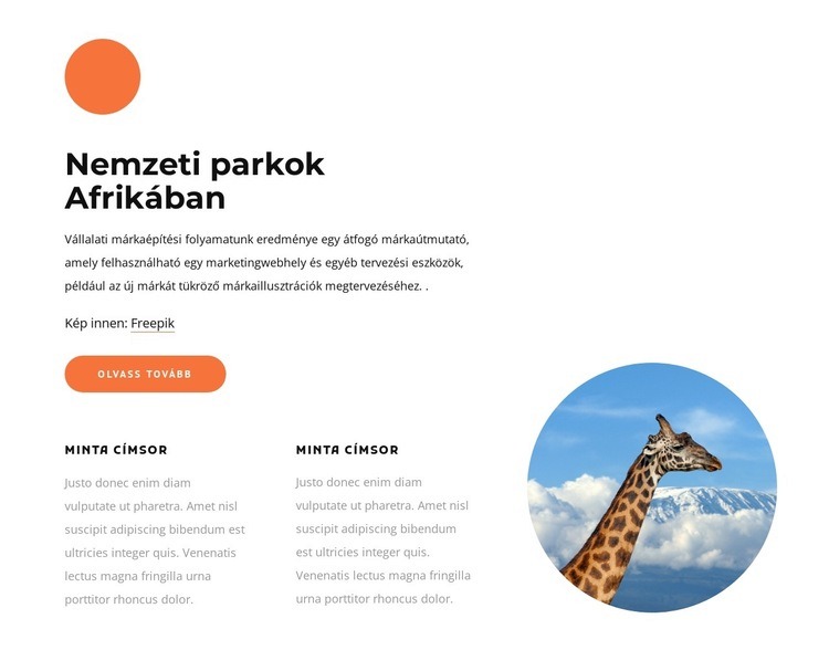 Nemzeti parkok Afrikában Weboldal tervezés